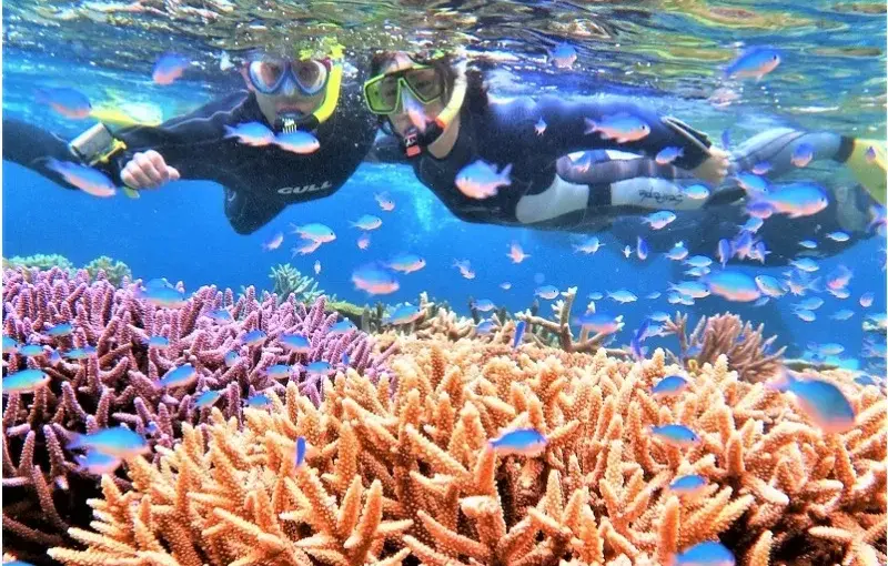 宮古島　シュノーケリング　シュノーケル