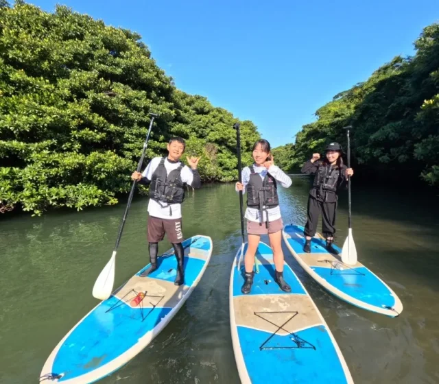 宮古島マリンアクティビティ完全ガイド｜現地おすすめ10選＆初心者にも安心なツアー紹介